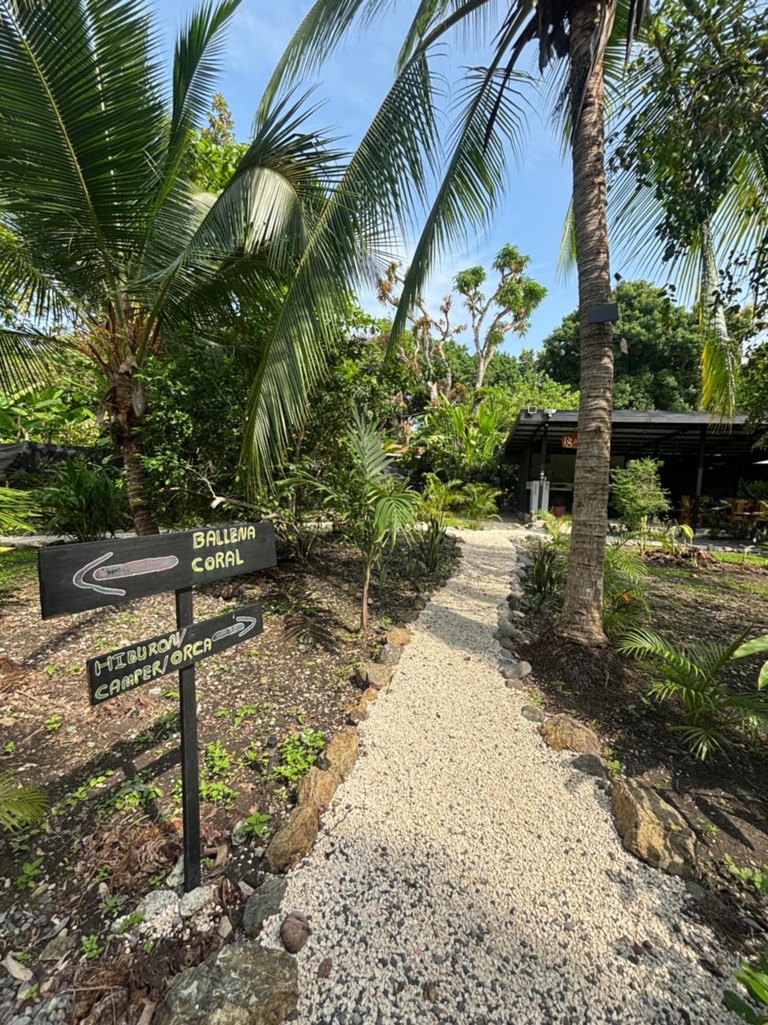 Ds House Hotel Cabuya  Ngoại thất bức ảnh