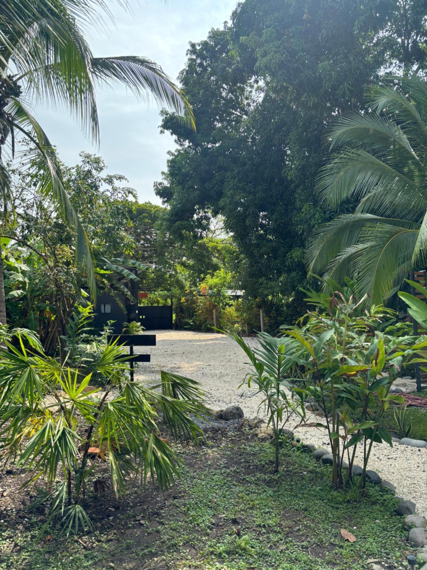 Ds House Hotel Cabuya  Ngoại thất bức ảnh
