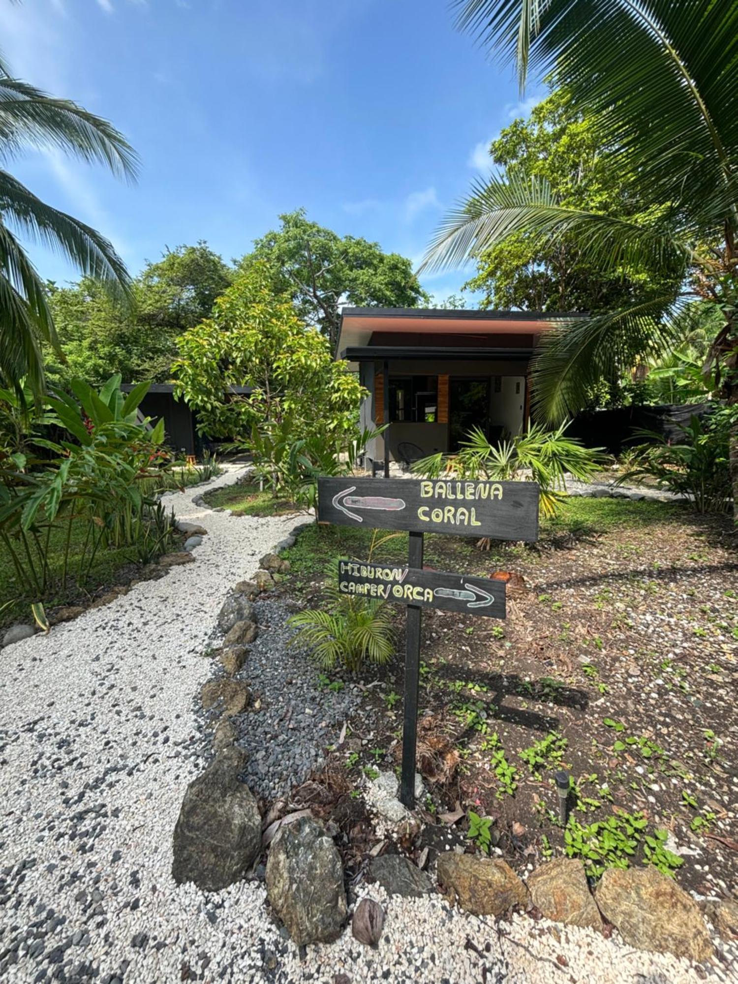 Ds House Hotel Cabuya  Ngoại thất bức ảnh